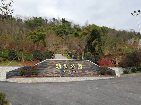 01.jpg